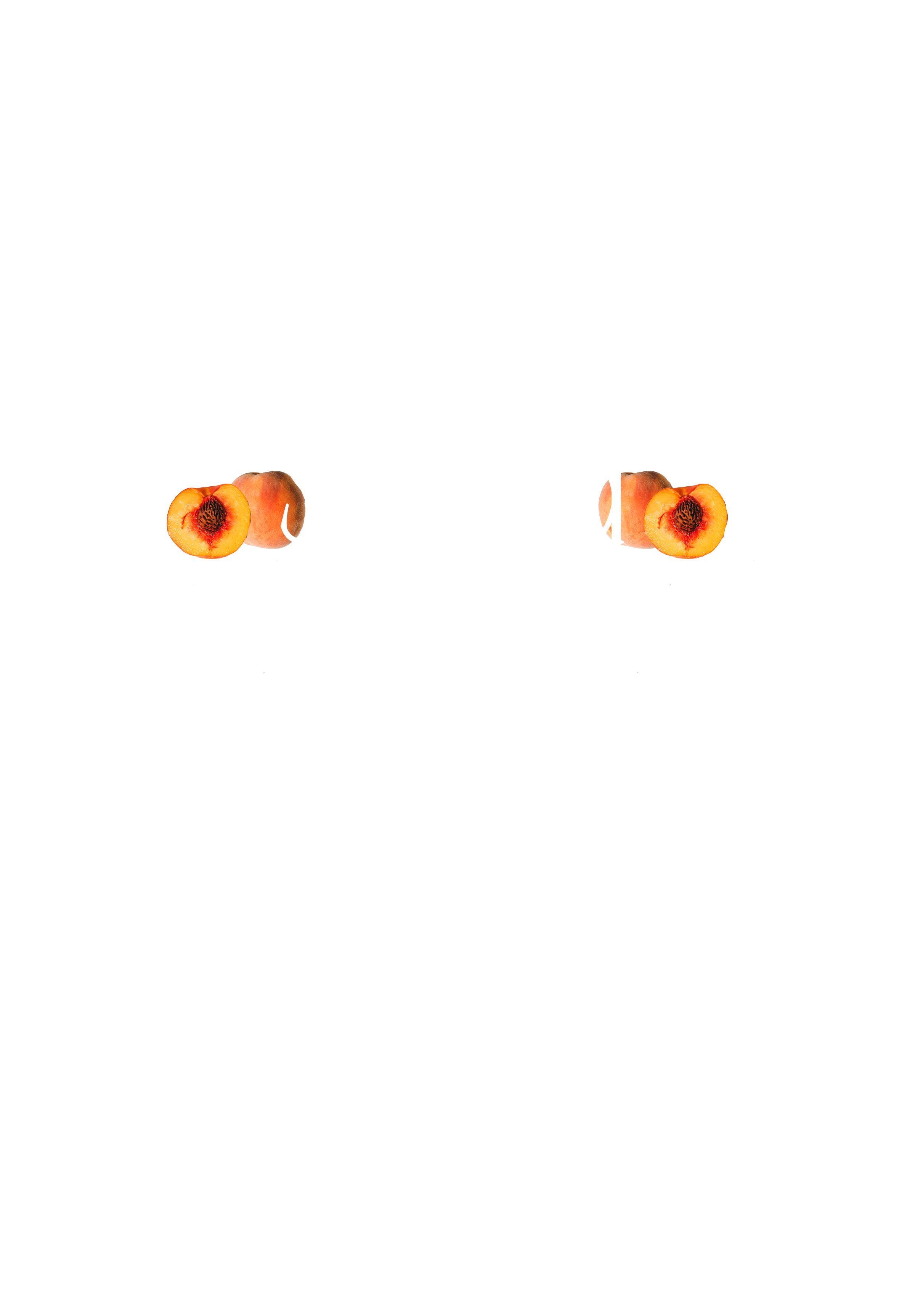 Peach Moon Text Logo